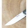 Нож BUCK 0251GRS LANGFORD B0251GRS